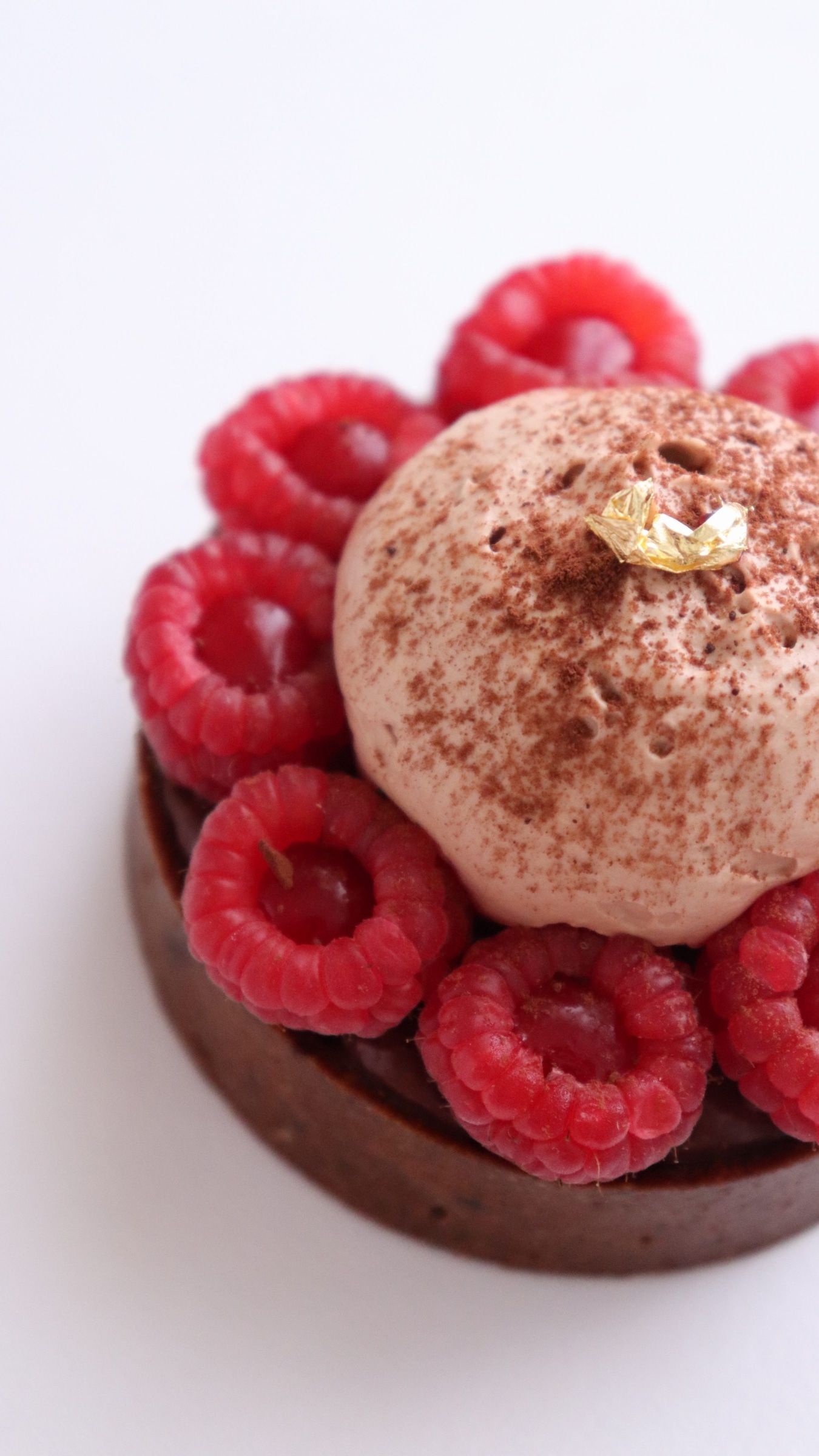 tartelettes chocolat framboises