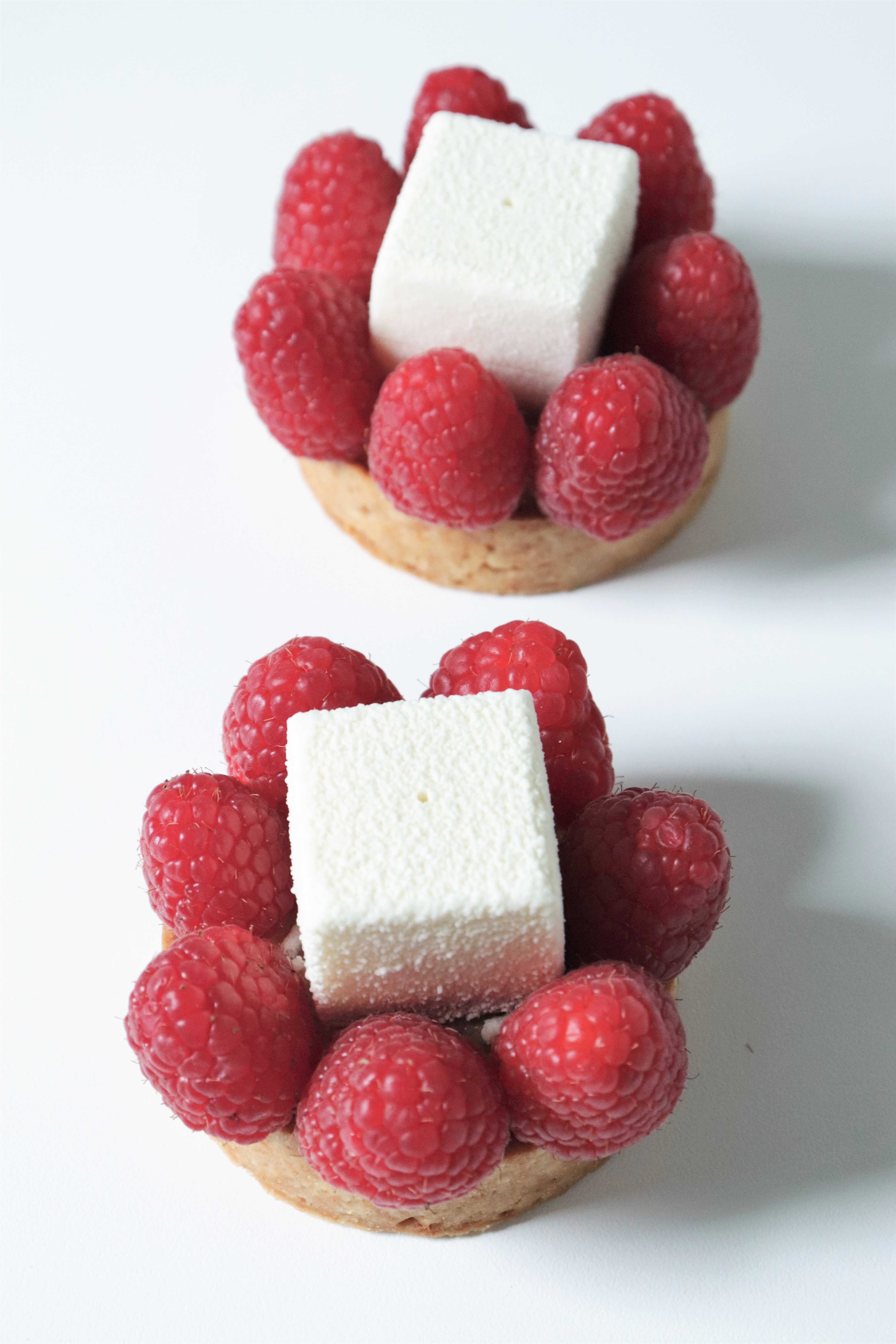 Tartelettes panna cotta framboise & vanille - Recette Olivia Pâtisse x Pixcake