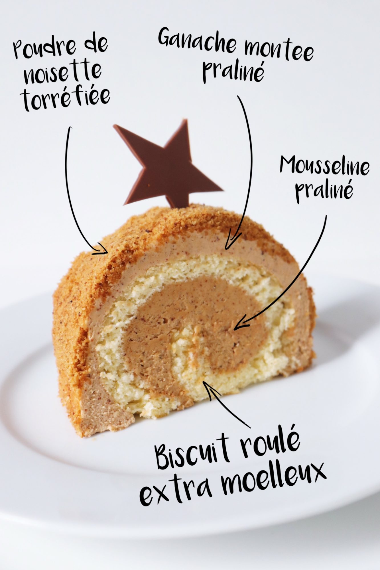 Bûche de Noël au praliné… extra noisettes !